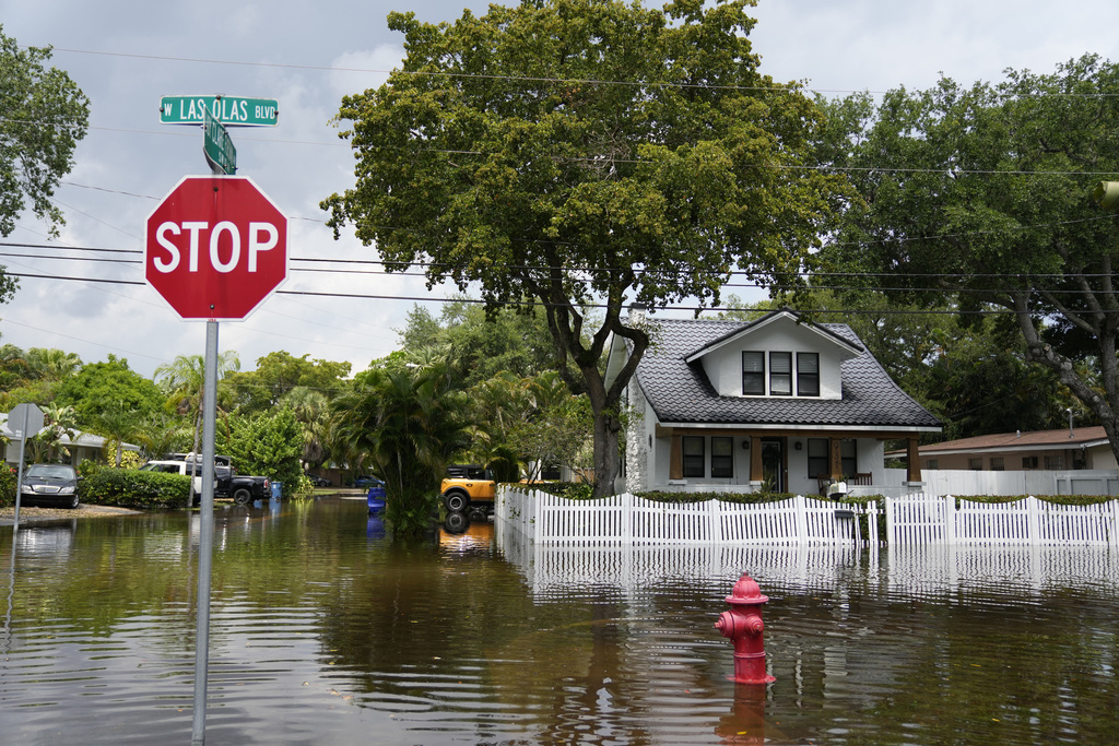 AP Photo/Rebecca Blackwell