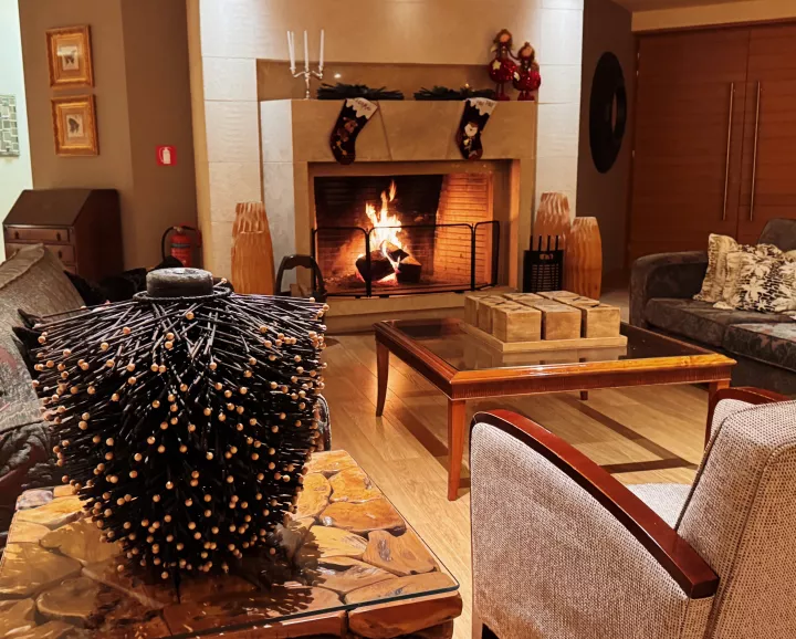 Meteora fireplace .jpeg