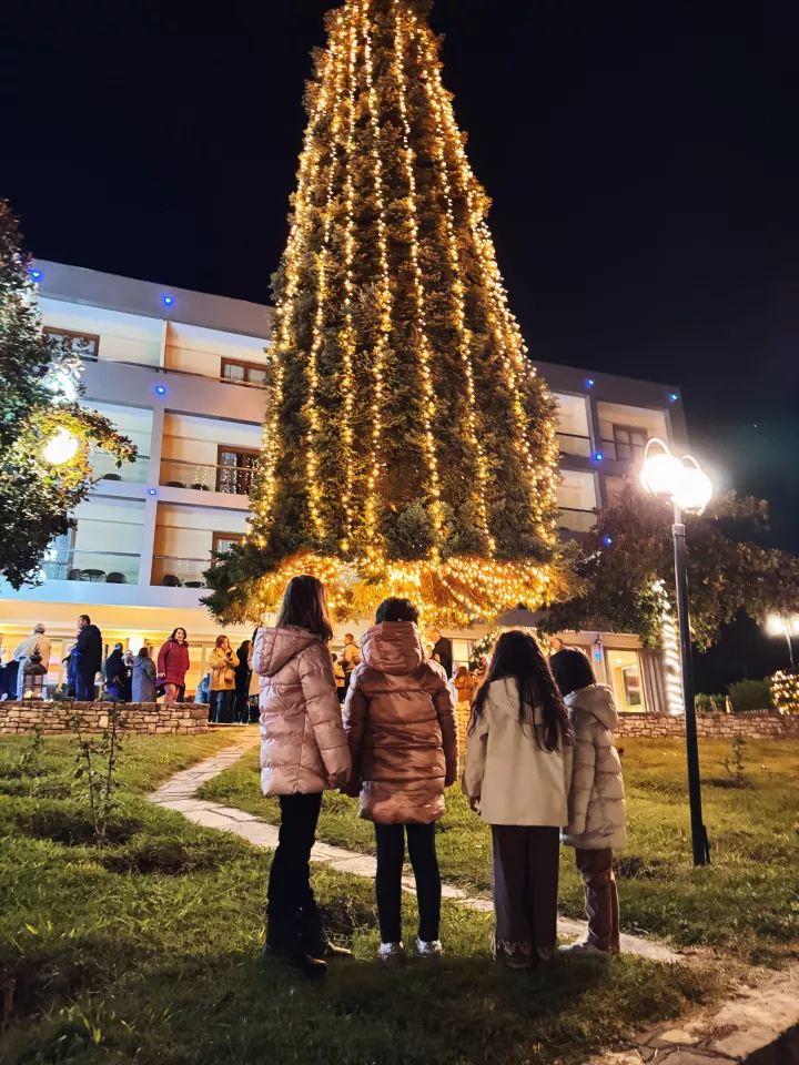 Meteora tallest Xmas tree.jpeg