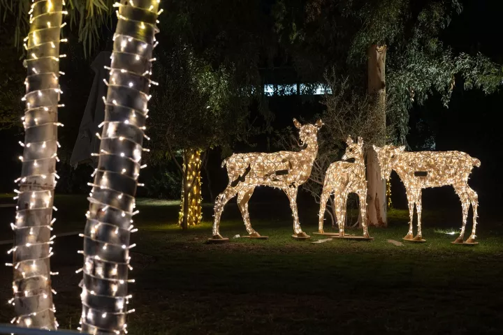 The Ellinikon North Pole Express 2.jpg