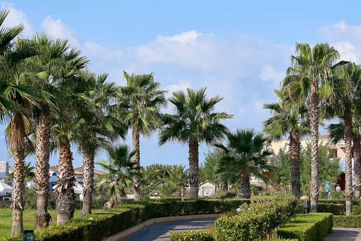 RO_SER4565-outside Atlantis.jpg