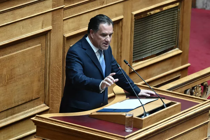 Αδ. Γεωργιάδης: Δεν υπάρχουν σκέψεις να κλείσουν οι επιχειρήσεις λόγω καύσωνα (vid)