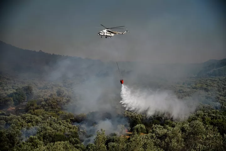 Λέσβος: Φωτιά σε ξερά χόρτα και καλαμιές στη Σκάλα Ερεσού