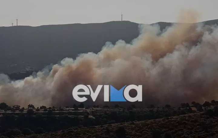 Υπό έλεγχο οι 2 φωτιές στη Νότια Εύβοια (vid)