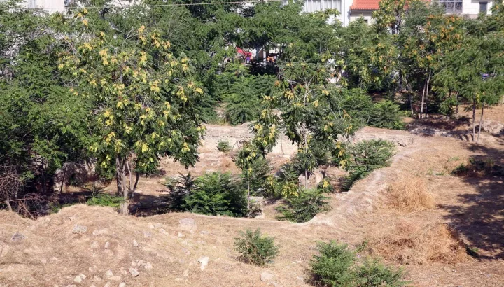 Απόφαση ΥΠΕΝ: Παρατείνεται έως τις 15 Ιουνίου η προθεσμία για τις δηλώσεις καθαρισμού οικοπέδων