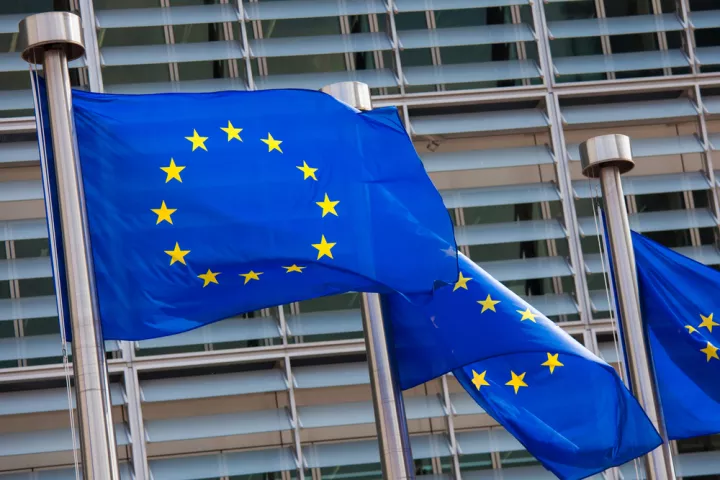 Κομισιόν: Προτείνει χαλάρωση των κανόνων της ΕΕ για την απέλαση αιτούντων άσυλο 