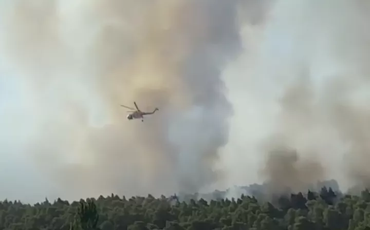 Μάχη για να σωθεί το πευκοδάσος της Βουρβουρούς στη Χαλκιδική, ισχυρές δυνάμεις επιχειρούν στο πύρινο μέτωπο