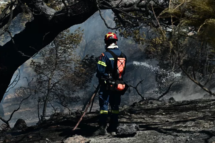 Πυροσβεστική: 50 αγροτοδασικές πυρκαγιές το τελευταίο εικοσιτετράωρο σε όλη τη χώρα