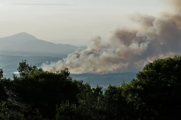Ωρωπός: Χωρίς ενεργό μέτωπο - Σε επιφυλακή παραμένουν οι πυροσβεστικές δυνάμεις