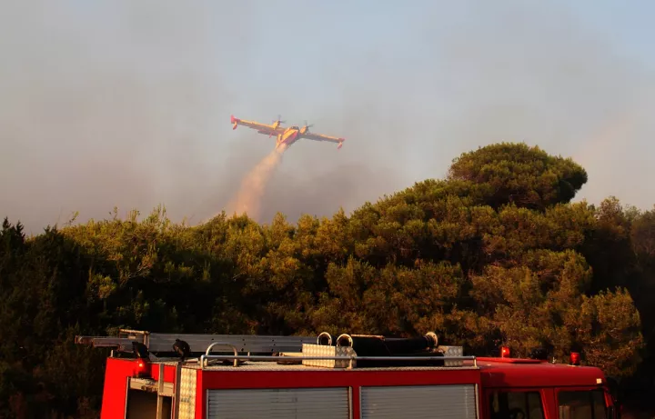 Πυρκαγιά σε δασική έκταση στον Άγιο Στέφανο Αττικής