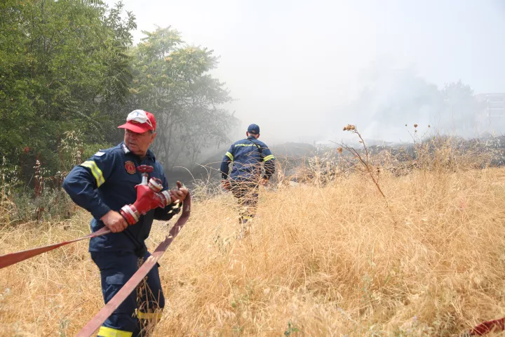 Πυροσβεστική: 36 αγροτοδασικές πυρκαγιές το τελευταίο 24ωρο σε όλη τη χώρα	