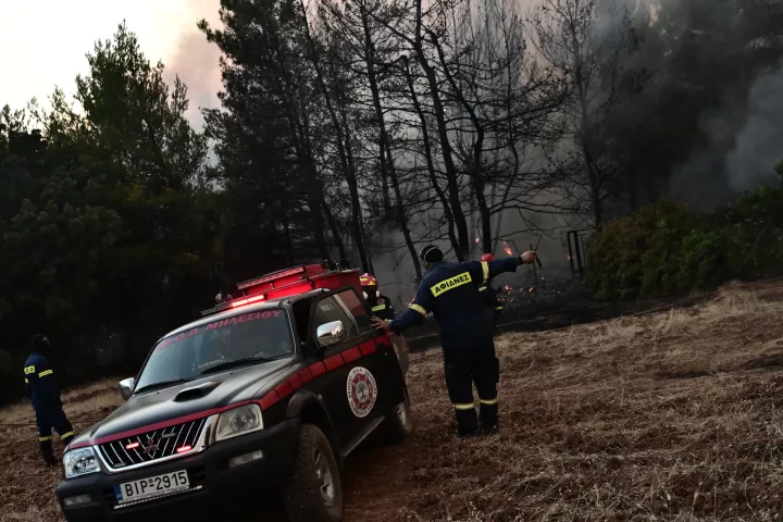 Φωτιά σε δασική έκταση στα Ζαρκάδια Παρανεστίου Δράμας