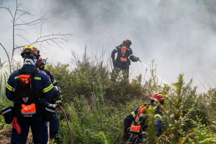 Πυροσβεστική: 42 αγροτοδασικές πυρκαγιές το τελευταίο 24ωρο σε όλη τη χώρα