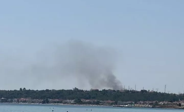 Φωτιά στη Ν. Φώκαια Χαλκιδικής