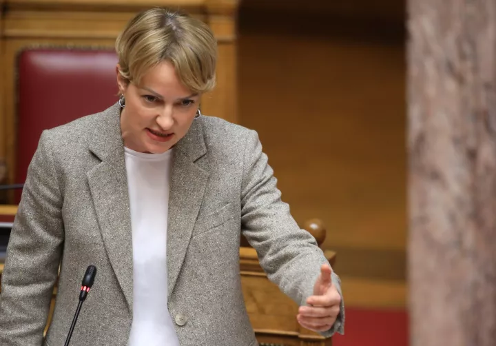 Σδούκου κατά Ανδρουλάκη: Θέλει διακαώς να αποφύγει να φωτιστούν όλες οι πτυχές της διαχρονικής πληγής των αγροτικών επιδοτήσεων