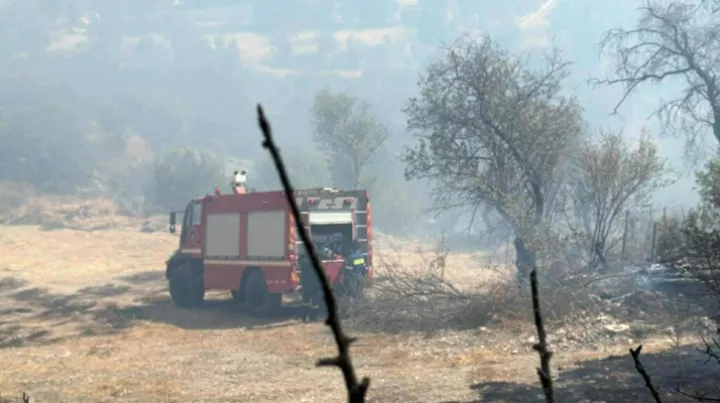 Κύπρος: Ανεξέλεγκτη η φωτιά στα βόρεια της Λεμεσού - Αίτημα συνδρομής σε γειτονικά κράτη και την ΕΕ (pics)