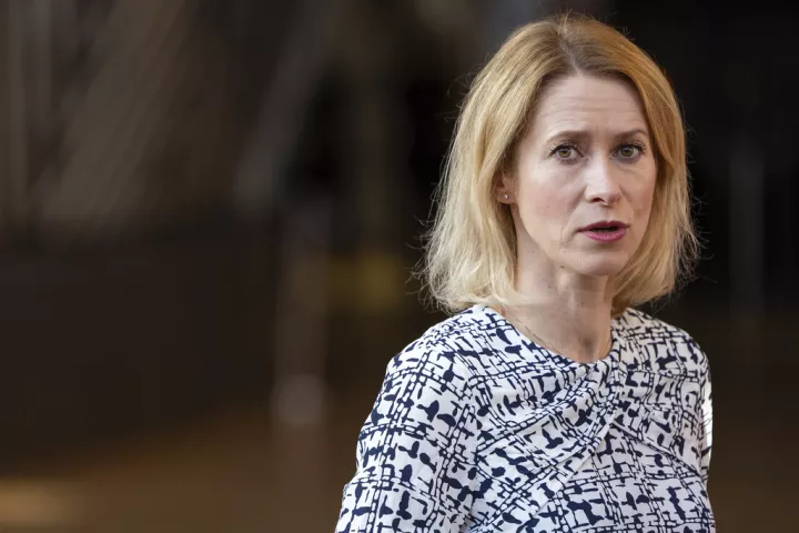 ΕΕ για τις συγκρούσεις στη νότια Συρία: Πρέπει να τηρηθεί πλήρως η εκεχειρία, δηλώνει η Κ. Κάλας 
