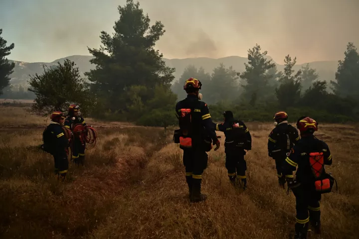 Φωτιά στο Αγριλόβουνο Οιχαλίας στη Μεσσηνία