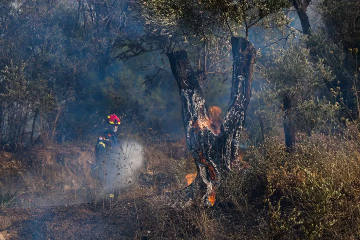 Υπό έλεγχο η φωτιά στη Ρόδο - Είχε δοθεί εντολή να σηκωθούν εναέρια μέσα (pic&vid)