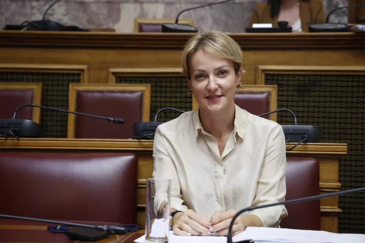 Αλ. Σδούκου προς Ανδρουλάκη: Θα αποκηρύξει την αφίσα της νεολαίας του που ξεπλένει τους «μπαχαλάκηδες»;