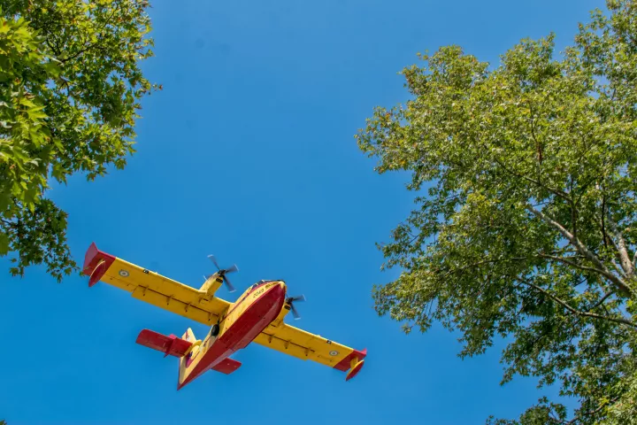Φωτιά σε αγροτοδασική έκταση στη Ροδόπη - Επιχειρούν επίγεια και εναέρια μέσα