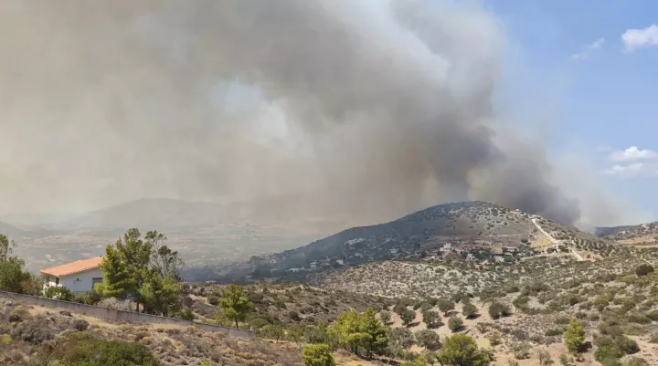 Φωτιά στην Κερατέα: Πάνω από 7 χλμ. το μέτωπο, δηλώνει ο δήμαρχος Λαυρεωτικής