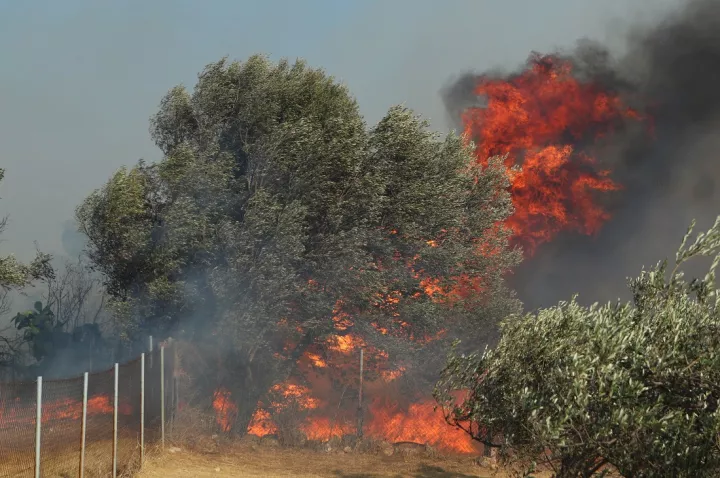 Φωτιές σε Αγρίνιο, Κεφαλονιά, Μέγαρα και Αχαΐα - Απεγκλωβισμοί κατοίκων και εκκενώσεις στην Αρχαία Ολυμπία