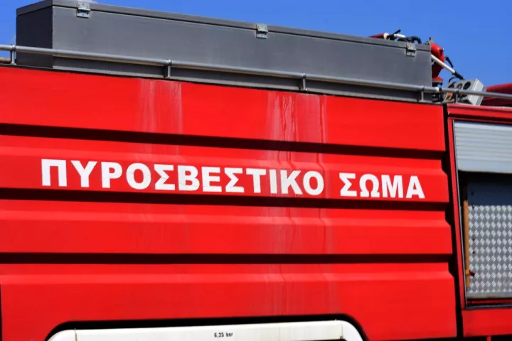 Πυρκαγιά σε δασική έκταση στους Άνω Καρυώτες Σαμοθράκης – Ήχησε το 112 για ετοιμότητα