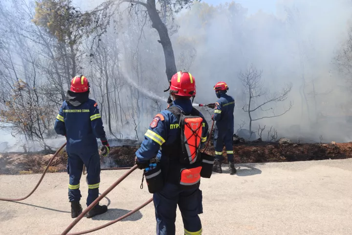 Φωτιά στην Οινόη Μάνδρας- Ειδυλλίας: Οριοθετήθηκε το μέτωπο - Ήχησε και το 112