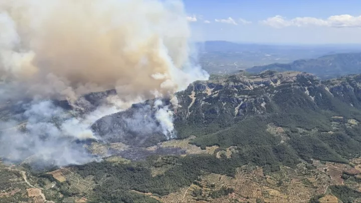 Ισπανία: Υπό έλεγχο η δασική πυρκαγιά κοντά στη Μαδρίτη