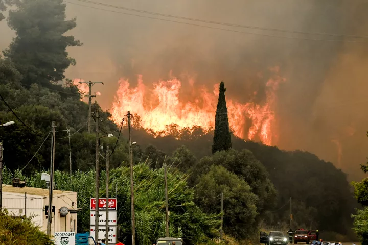 Δήμαρχος Δυτικής Αχαΐας: Αν η φωτιά περάσει στο δάσος της Μόβρης, τότε θα φτάσει μέχρι την Ηλεία