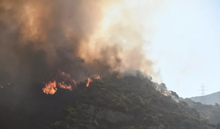 Πάτρα: Σε εξέλιξη οι πυρκαγιές σε Συχαινά και Δυτική Αχαία - Περιορισμένες οι ζημιές στη ΒΙ.ΠΕ Πατρών