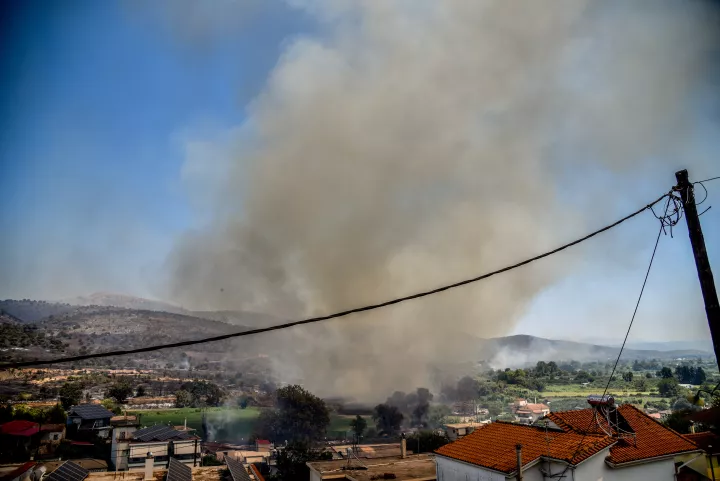 Κατεπείγουσα έρευνα για τους εμπρησμούς στην Ήπειρο - Παρέμβαση του Εισαγγελέα Εφετών Ιωαννίνων