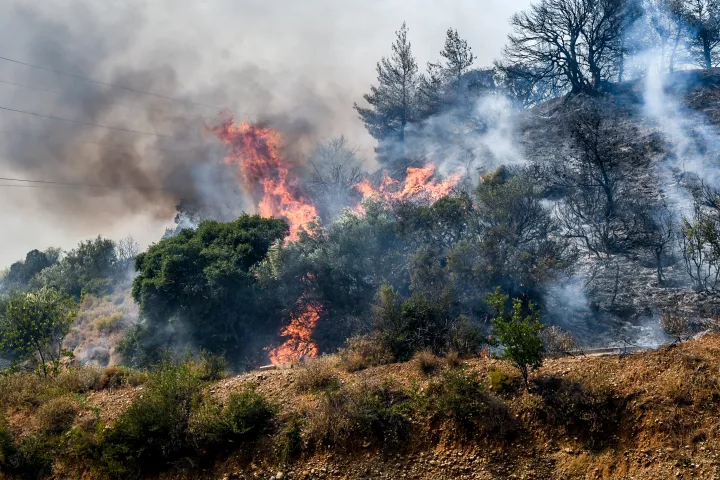 Πάτρα: Οι ύποπτες κινήσεις του 25χρονου που συνελήφθη για εμπρησμό - Προσαγωγές δύο ακόμη ατόμων (vid)