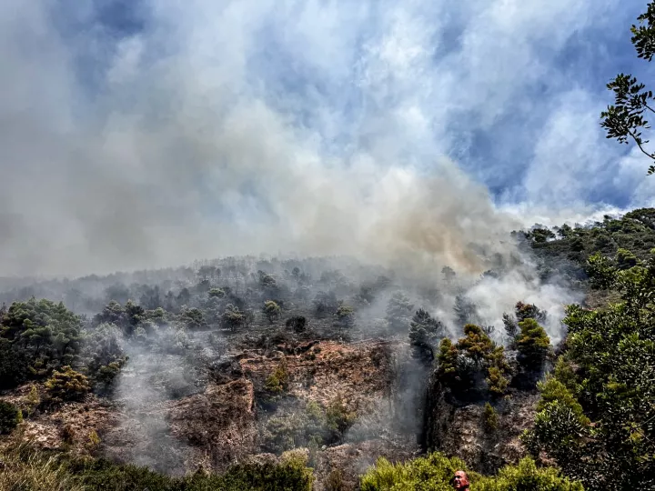 Φωτιά στη Ζάκυνθο: Σε κατάσταση έκτακτης ανάγκης κηρύχθηκαν οι δημοτικές ενότητες Αρτεμισίων και Λαγανά