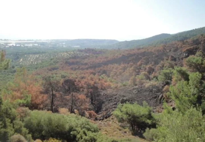 Λέσβος: Συνελήφθη 57χρονος που ομολόγησε τέσσερις εμπρησμούς	