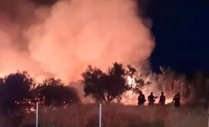 Οριοθετήθηκε άμεσα η φωτιά στην Κερατέα - Μεγάλη κινητοποίηση της Πυροσβεστικής (vid)