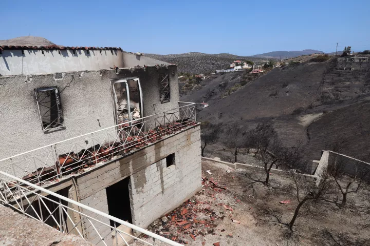 Κερατέα: Άρχισαν οι αιτήσεις αποζημιώσεων για ζημιές σε φυτική παραγωγή από τη φωτιά 