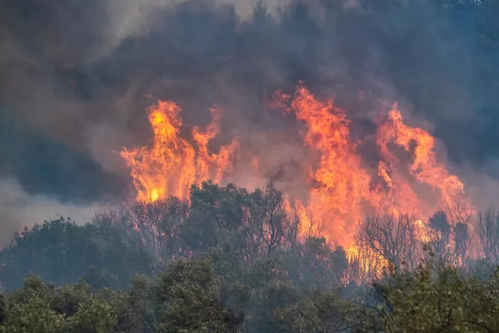 Ο πλανήτης καίγεται! Eμείς κάνουμε μικροπολιτική και επενδύουμε στον λαϊκισμό 