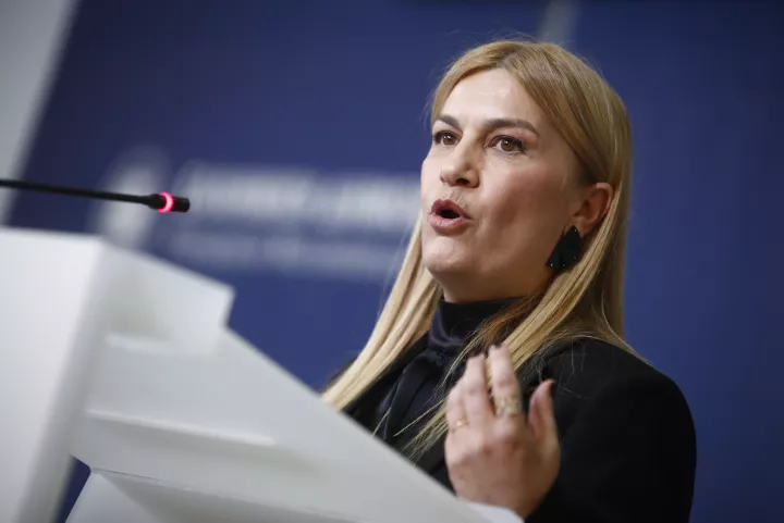 Σ. Βολουδάκη: Βαρύτερες ποινές για παράνομη είσοδο - Τι προβλέπει το νέο νομοσχέδιο για το μεταναστευτικό