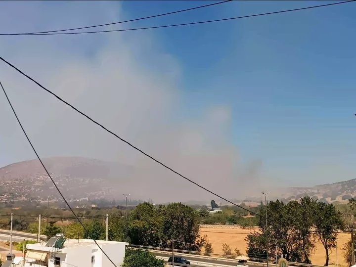 Οριοθετήθηκε η φωτιά στο Λαύριο μέσα σε μία ώρα: Γρήγορη η επέμβαση στον Δήμο Λαυρεωτικής