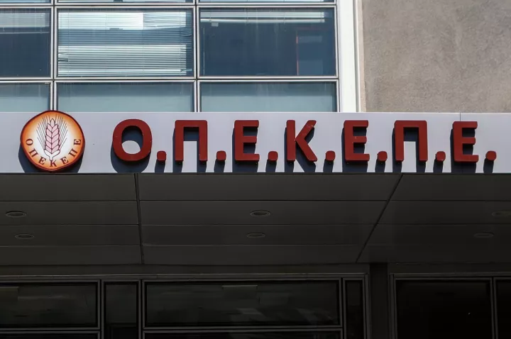 Ανακοινώσεις Χρυσοχοΐδη για τις παράνομες επιδοτήσεις- Αναφορές για 500 ΑΦΜ που πήραν 20 εκατ. ευρώ