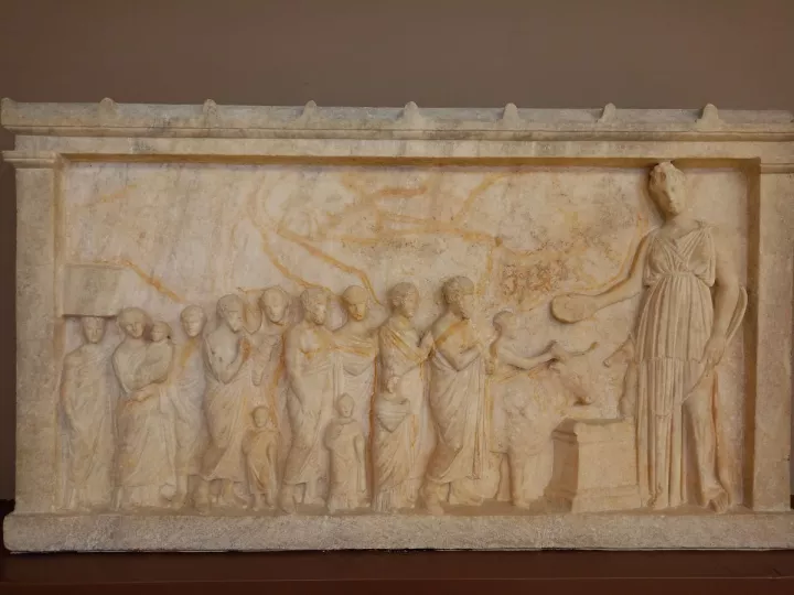 «Αρκούδες» στην Αττική;