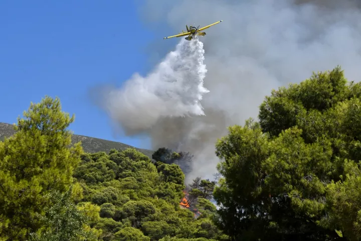 Οροθετήθηκε η πυρκαγιά σε αγροτοδασική έκταση στα Πετράλωνα Μεσσηνίας