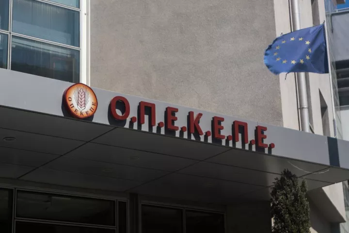 Σπ. Πρωτοψάλτης για ΟΠΕΚΕΠΕ: Σε 1,5 μήνα βρέθηκαν 1000 AΦΜ που αντιστοιχούν σε 23 εκατομμύρια