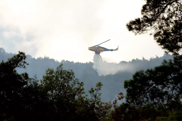 Φωτιά στην Λαγόμανδρα Χαλκιδικής - Στο σημείο και εναέρια μέσα, ήχησε το 112
