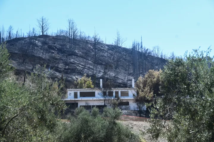 Έκτακτη οικονομική ενίσχυση στον δήμο Πατρέων για τους πληγέντες της πυρκαγιάς του Αυγούστου