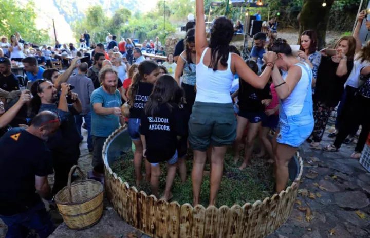 Το Ολοήμερο Φεστιβάλ Τρύγου επιστρέφει φέτος τον Σεπτέμβρη