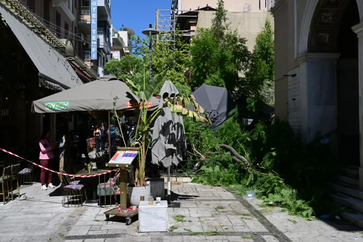 Μοναστηράκι: Δύο τραυματίες από πτώση δέντρου στην πλατεία Αγίας Ειρήνης (pics)