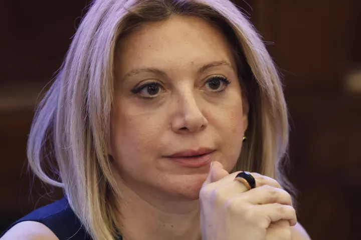 Οι πολιτικές βλέψεις της κυρίας Καρυστιανού